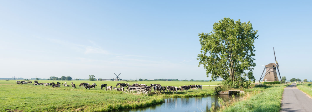 platteland
